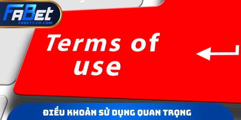 Điều khoản sử dụng quan trọng